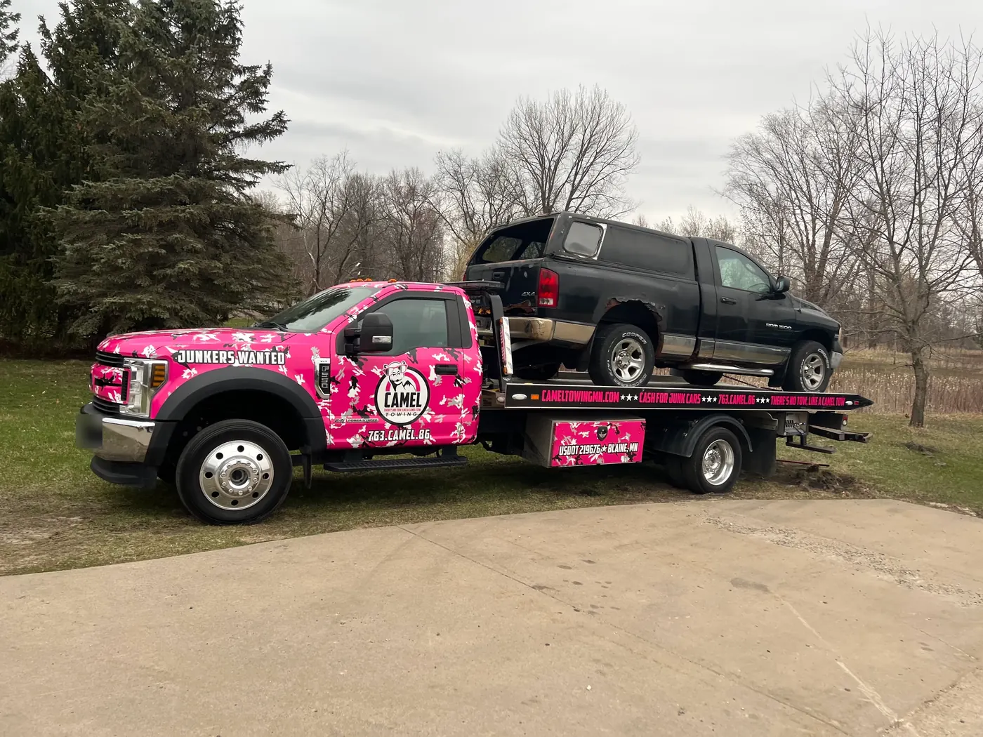 Pink camo Camel Towing flatbed hauling a junk Dodge Ram pickup